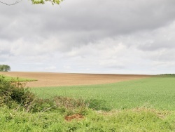 Photo paysage et monuments, Bourthes - la campagne