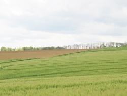 Photo paysage et monuments, Campagne-lès-Boulonnais - le village