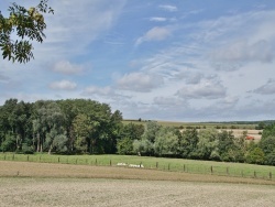 Photo paysage et monuments, Carency - le Village