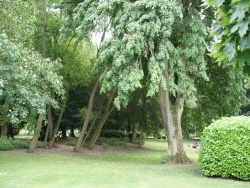 Photo paysage et monuments, Chocques - la commune