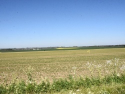 Photo paysage et monuments, Dury - la nature