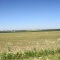 la nature