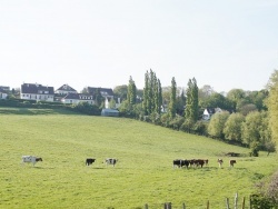 Photo paysage et monuments, Écuires - le village