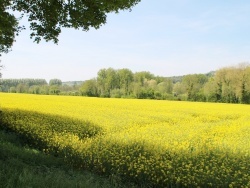 Photo paysage et monuments, Estrée - le village