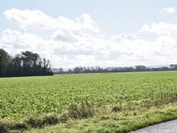 Photo paysage et monuments, Guemps - le village