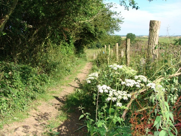 Photo Hermelinghen - Petit sentier de randonnée à proximité du village...