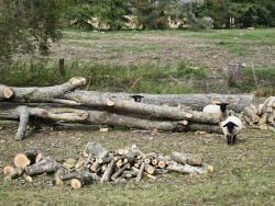 Photo paysage et monuments, Hesmond - Les Mouton