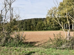 Photo paysage et monuments, Loison-sur-Créquoise - La Campagne