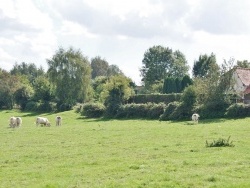 Photo paysage et monuments, Maresquel-Ecquemicourt - le Village