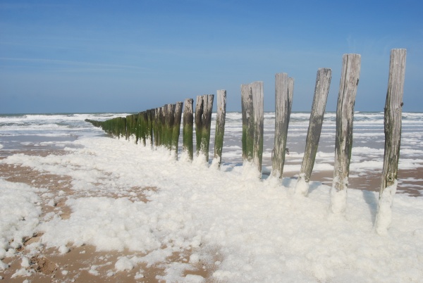 Photo Oye-Plage - l écume