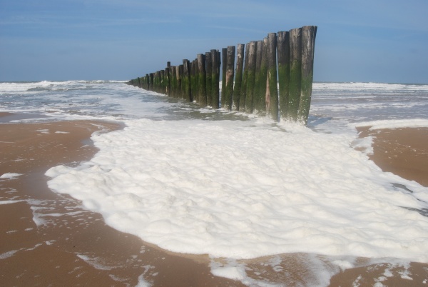 Photo Oye-Plage - l écume