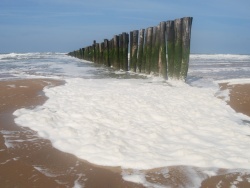 Photo paysage et monuments, Oye-Plage - l écume