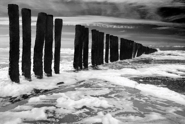 Photo Oye-Plage - noir et blanc