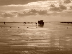 Photo paysage et monuments, Oye-Plage - couleur sépia  oye plage