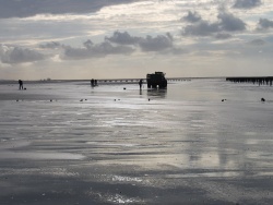 Photo paysage et monuments, Oye-Plage - oye plage