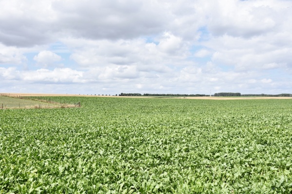 Photo Roclincourt - la Campagne