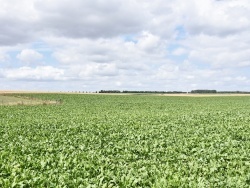 Photo paysage et monuments, Roclincourt - la Campagne