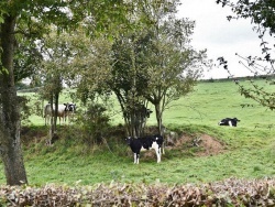 Photo paysage et monuments, Saint-Denoeux - La Campagne