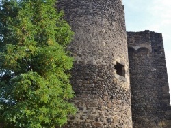 Photo paysage et monuments, Chalus - Le Château