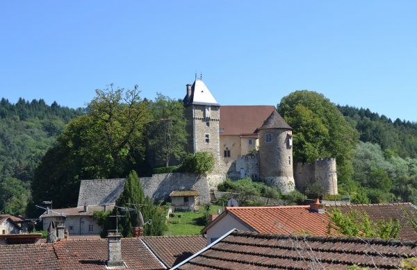 Photo Châteldon - Château de Chateldon