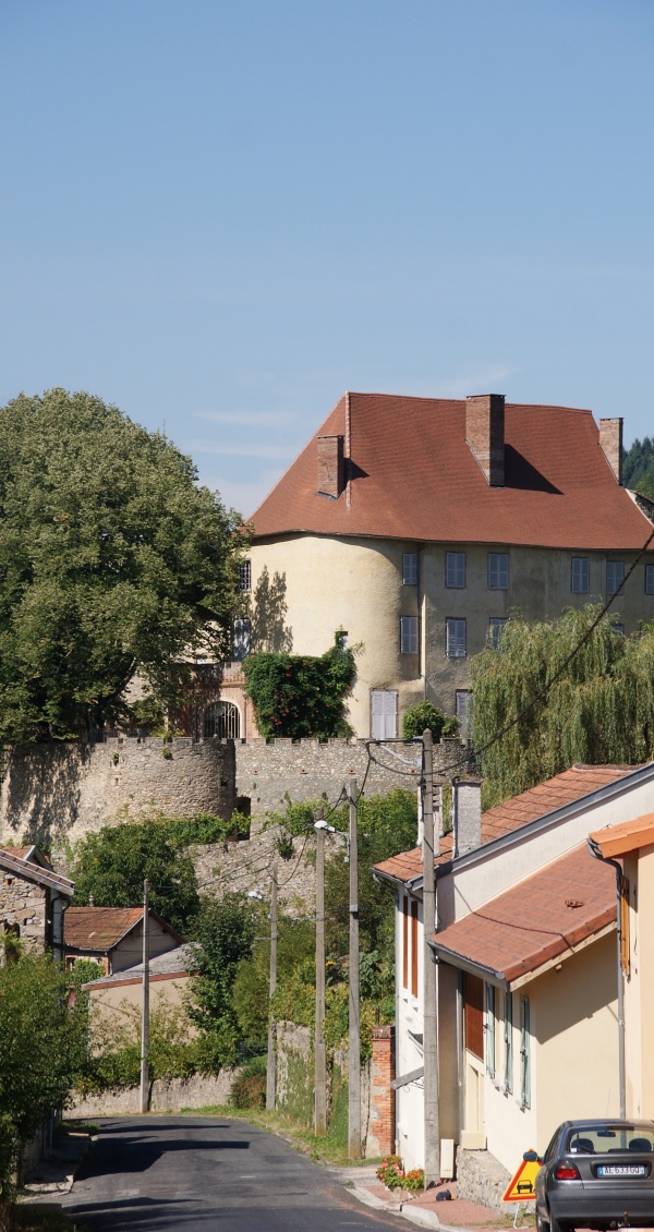 Photo Châteldon - Château de Chateldon