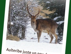 Photo paysage et monuments, Courpière - Aulteribe