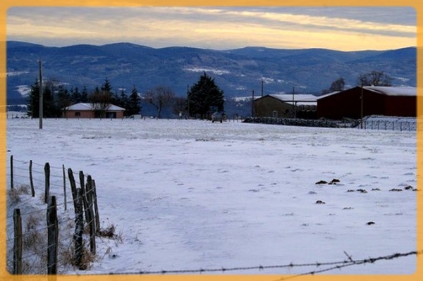 Photo Courpière - Courpière sous la Neige