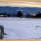 Photo Courpière - Courpière sous la Neige