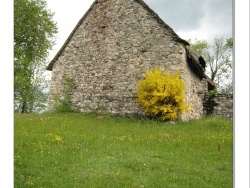 Photo paysage et monuments, Égliseneuve-d'Entraigues - Maison aux genêts " Auvergne mai 2008 "
