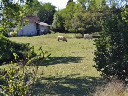 Photo paysage et monuments, Limons - Le Village