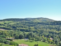 Photo paysage et monuments, Montaigut-le-Blanc - la nature