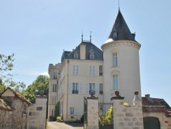 Photo paysage et monuments, Montel-de-Gelat - le château
