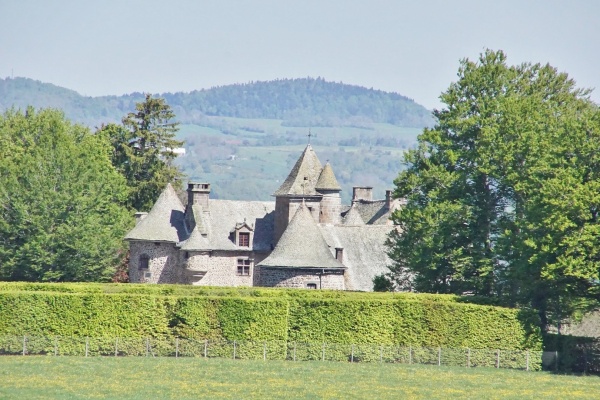Photo Orcival - le Château