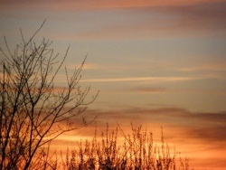 Photo paysage et monuments, Ris - LUMIERE DU SOIR.