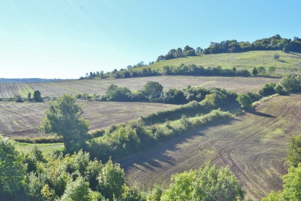 Photo Saint-Floret - la nature