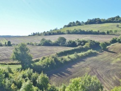 Photo paysage et monuments, Saint-Floret - la nature