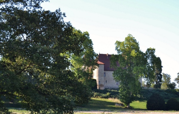 Photo Saint-Sylvestre-Pragoulin - Château de la Poivrière