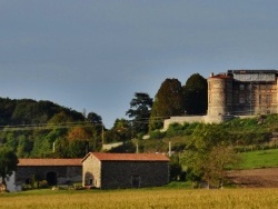 Photo paysage et monuments, Sallèdes - Le Château de la Chaux-Montgros