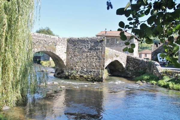 Photo Saurier - le pont