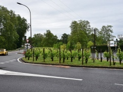 Photo paysage et monuments, Bellocq - la commune