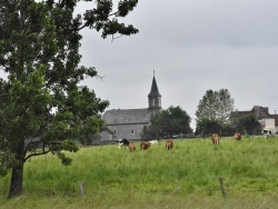 Photo paysage et monuments, Coublucq - la commune