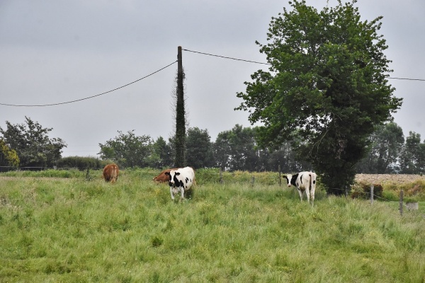 Photo Coublucq - la commune