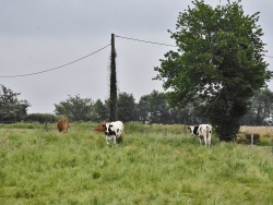 Photo paysage et monuments, Coublucq - la commune