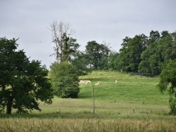 Photo paysage et monuments, Lacadée - la commune