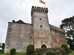 Photo paysage et monuments, Morlanne - le château fort