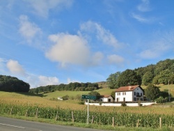 Photo paysage et monuments, Saint-Esteben - la commune