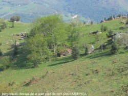 Photo paysage et monuments, Saint-Jean-Pied-de-Port - petite bergerie tapie en montant à munhoa