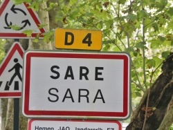 Sare