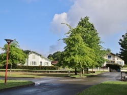 Photo paysage et monuments, Sault-de-Navailles - la commune