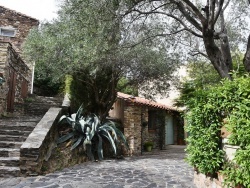 Photo paysage et monuments, Camélas - le village